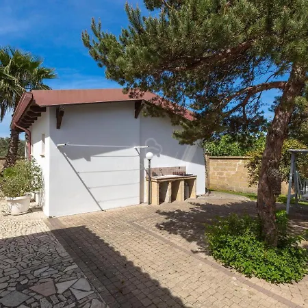 Paduli Piani Girasole *