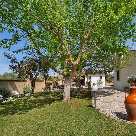 Paduli Piani Girasole